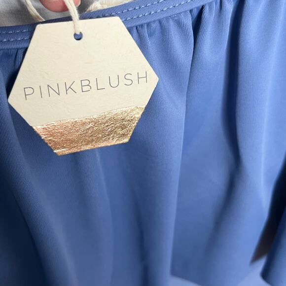 Pink Blush Womens One Piece Swimsuit 1X Blue Ruffle Trim Ruched Maternity - Picture 8 of 13